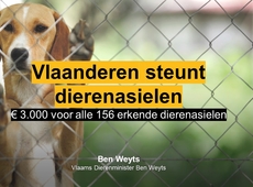 Steun voor dierenasielen