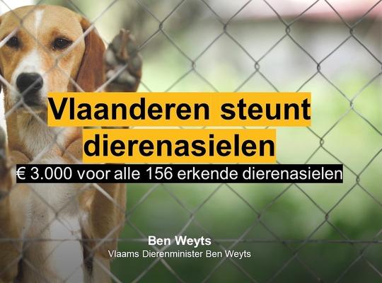 Steun voor dierenasielen Steun voor dierenasielen